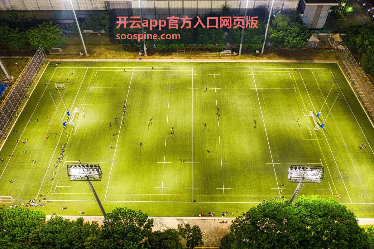 开云app官方入口网页版入口地址输入示意